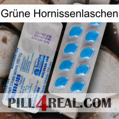 Grüne Hornissenlaschen new15